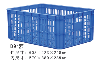 B9#草莓视频色版本周轉籮