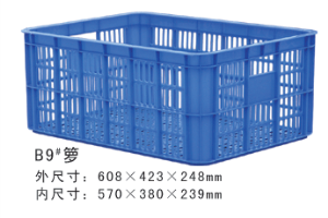 B9#草莓视频色版本周轉籮